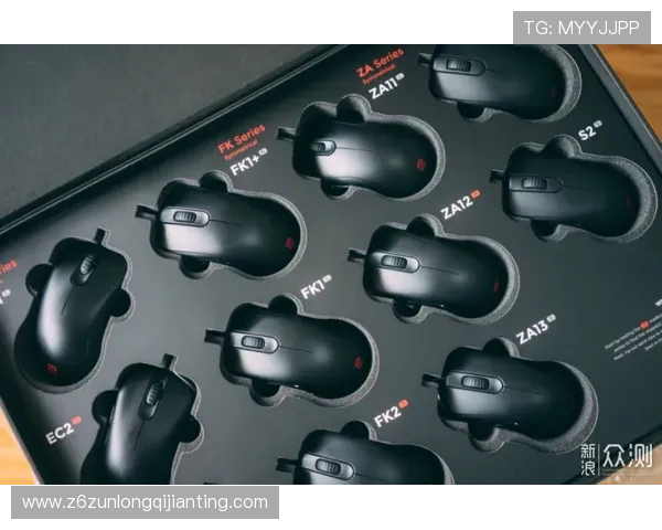 Z6就是博娱乐：如何选择安全可靠的游戏平台，保障你的游戏体验与资金安全