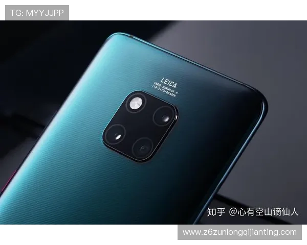 用户对z6尊龙凯时旗舰厅的评价与反馈分析